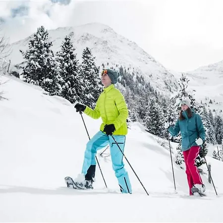 In Kaltenbach Near Lift Stumm