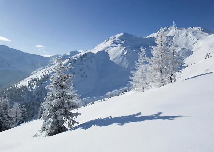 Lejlighed In Kaltenbach Near Lift *